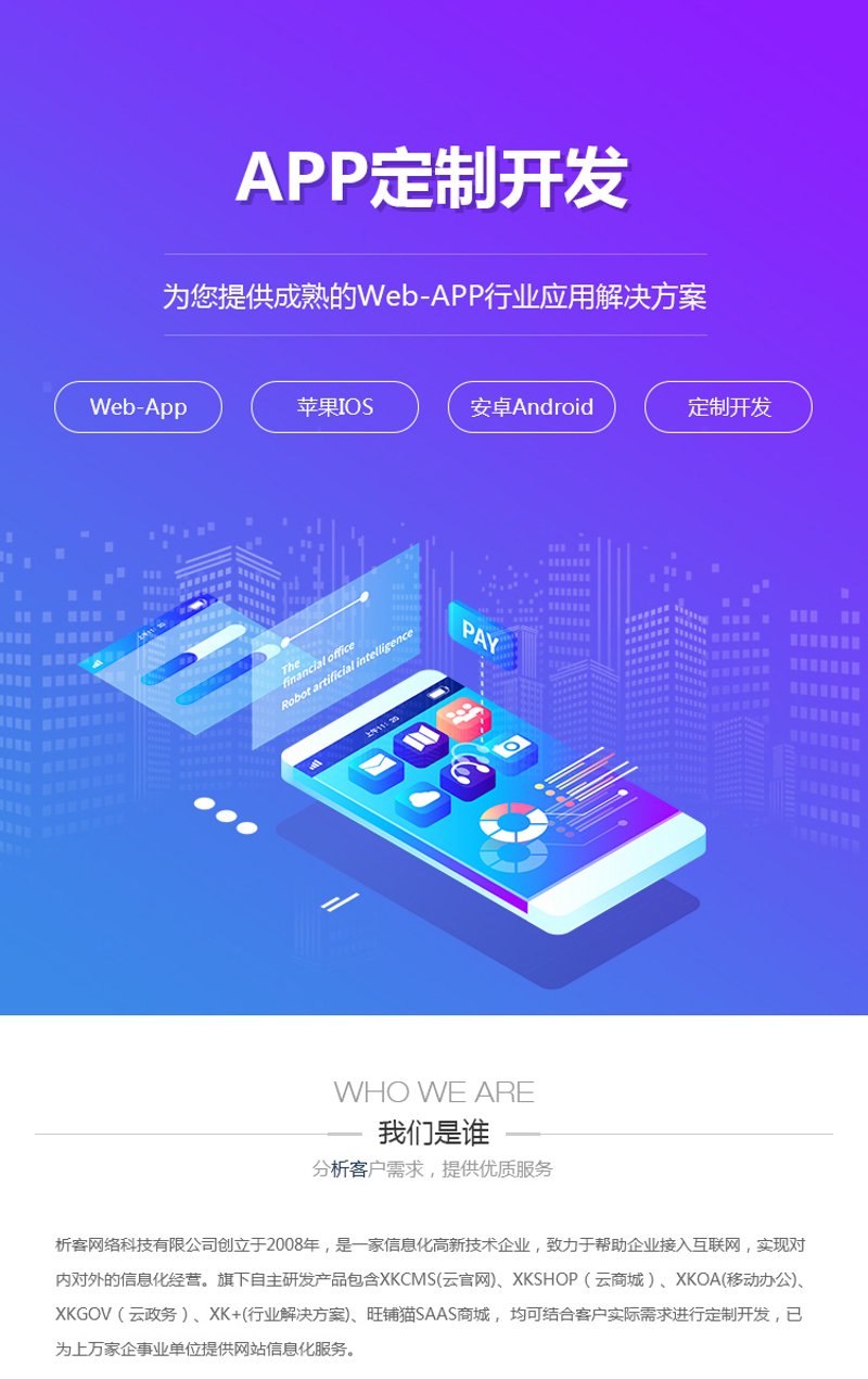 软件定制开发选购指南